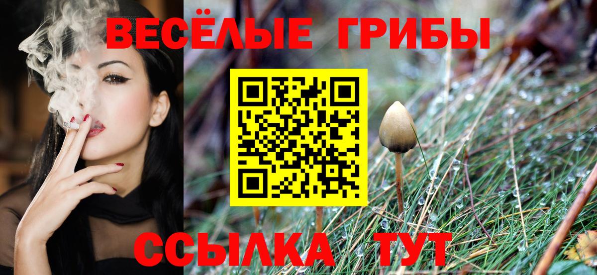 Минеральные Воды  Галлюциногенные грибы GOLDEN TEACHER  Вход с VPN 