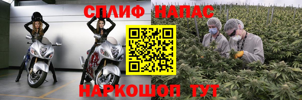 Канабис SATIVA & INDICA Минеральные Воды